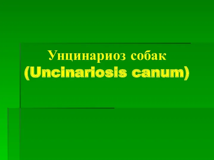 Унцинариоз собак (Uncinariosis canum)