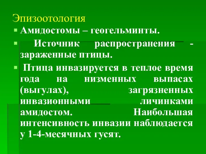 Эпизоотология Амидостомы – геогельминты. Источник распространения - зараженные птицы. Птица