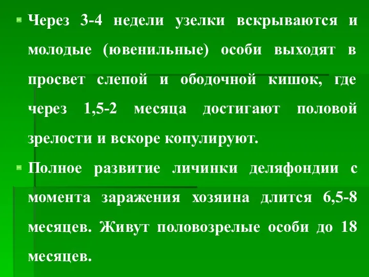 Через 3-4 недели узелки вскрываются и молодые (ювенильные) особи выходят