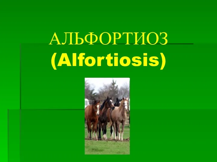 АЛЬФОРТИОЗ (Alfortiosis)