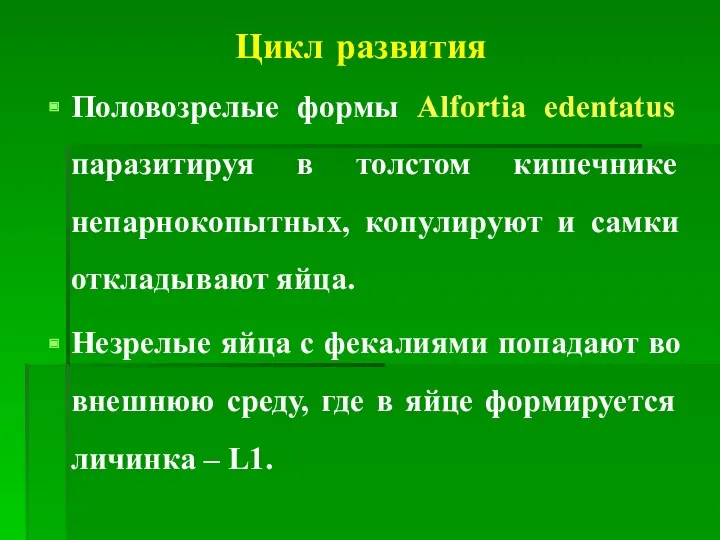 Цикл развития Половозрелые формы Alfortia edentatus паразитируя в толстом кишечнике