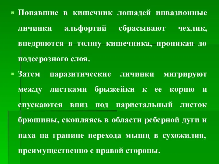 Попавшие в кишечник лошадей инвазионные личинки альфортий сбрасывают чехлик, внедряются