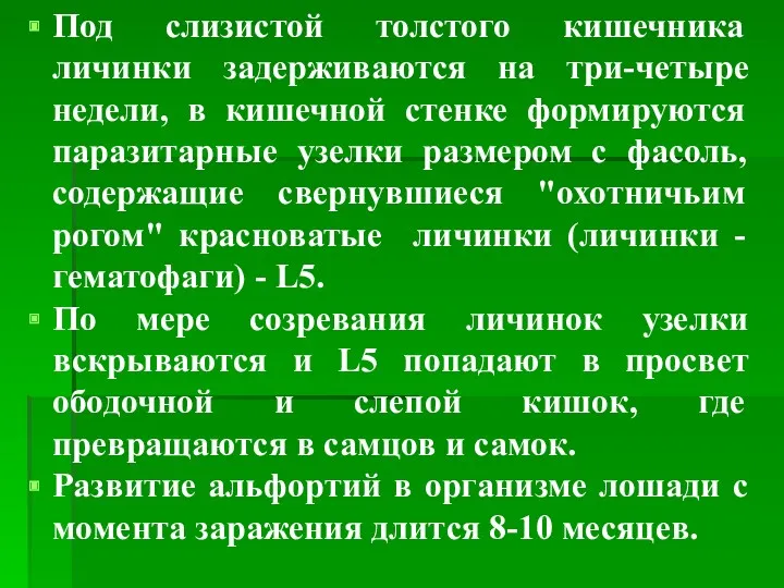 Под слизистой толстого кишечника личинки задерживаются на три-четыре недели, в