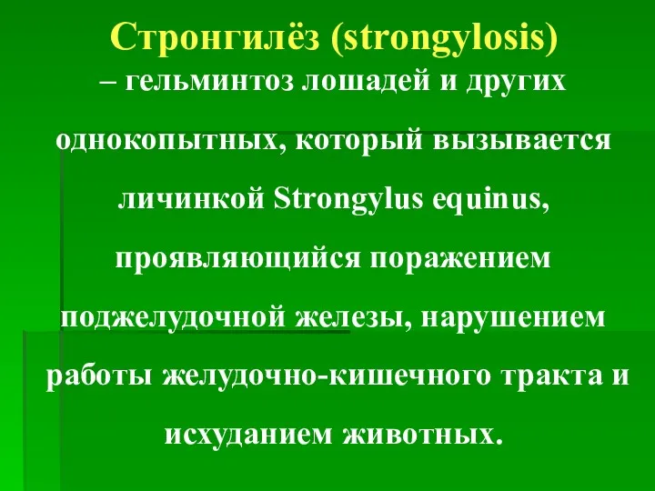 Стронгилёз (strongylosis) – гельминтоз лошадей и других однокопытных, который вызывается