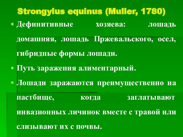 Strongylus equinus (Muller, 1780) Дефинитивные хозяева: лошадь домашняя, лошадь Пржевальского,