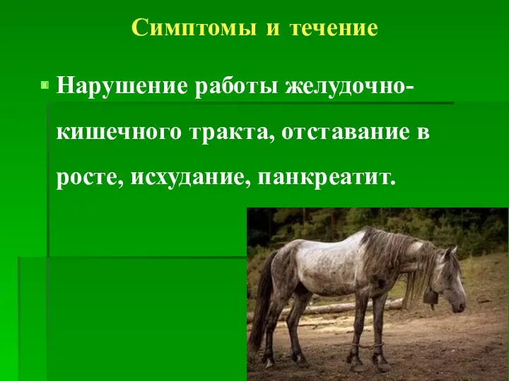 Симптомы и течение Нарушение работы желудочно-кишечного тракта, отставание в росте, исхудание, панкреатит.