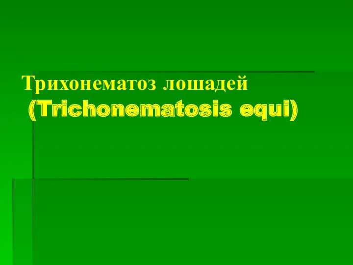 Трихонематоз лошадей (Trichonematosis equi)