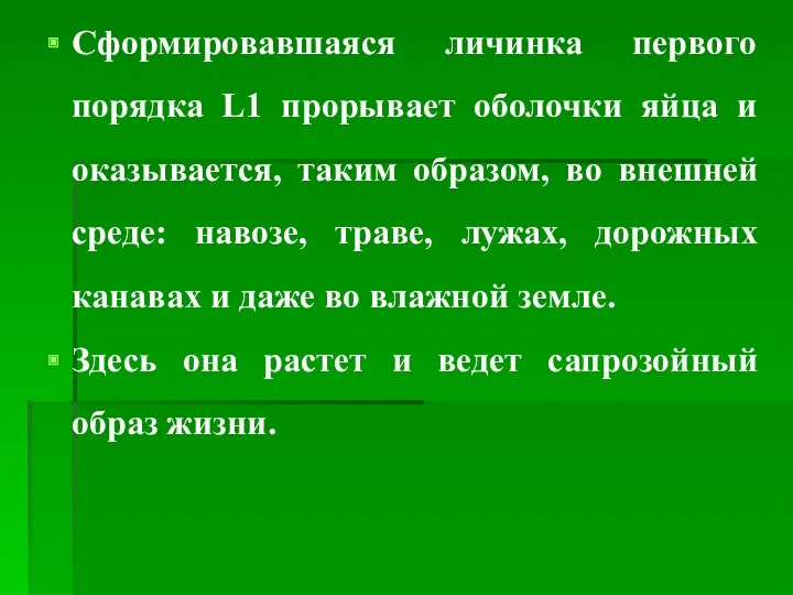 Сформировавшаяся личинка первого порядка L1 прорывает оболочки яйца и оказывается,