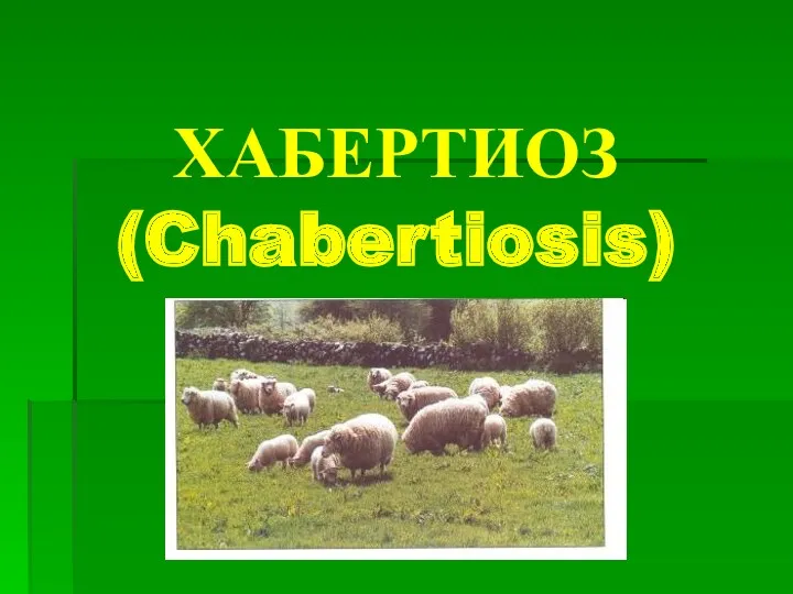 ХАБЕРТИОЗ (Chabertiosis)