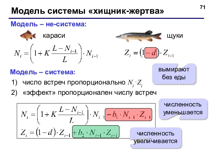 Модель системы «хищник-жертва» Модель – не-система: Модель – система: число