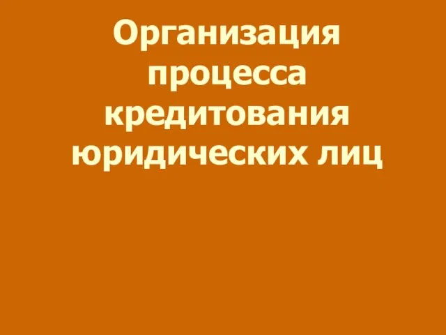 Организация процесса кредитования юридических лиц