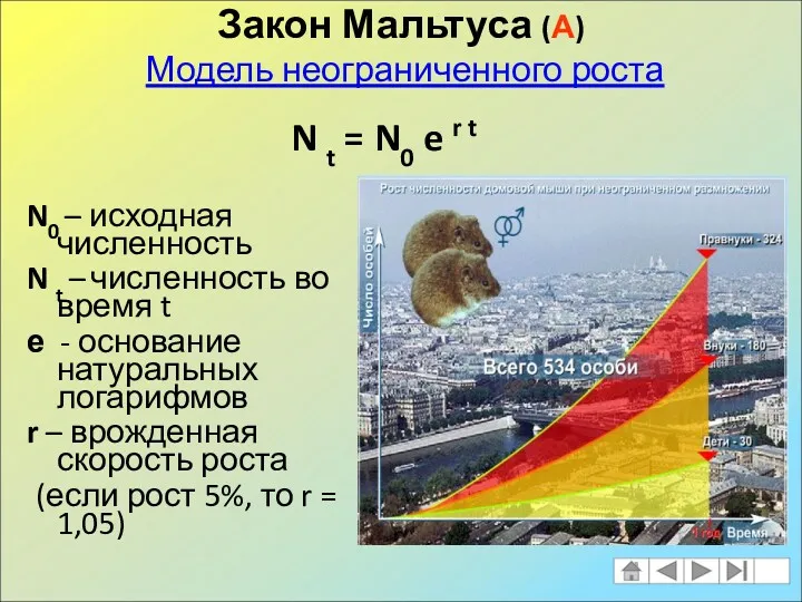 Закон Мальтуса (А) Модель неограниченного роста N0 – исходная численность