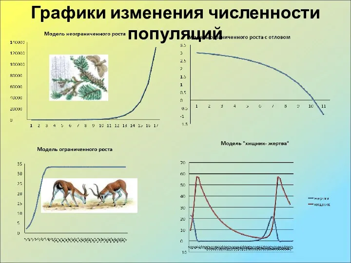 Графики изменения численности популяций