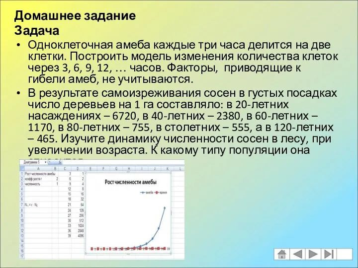 Домашнее задание Задача Одноклеточная амеба каждые три часа делится на