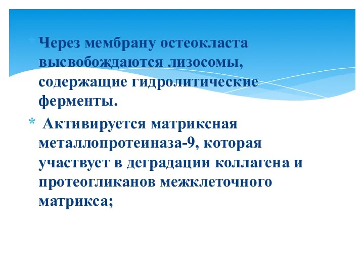 Через мембрану остеокласта высвобождаются лизосомы, содержащие гидролитические ферменты. Активируется матриксная