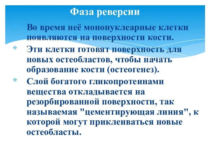 Во время неё мононуклеарные клетки появляются на поверхности кости. Эти