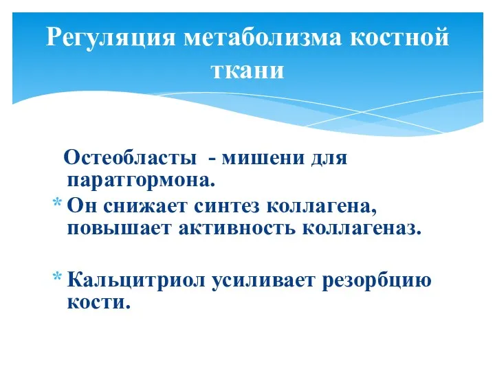 Остеобласты - мишени для паратгормона. Он снижает синтез коллагена, повышает