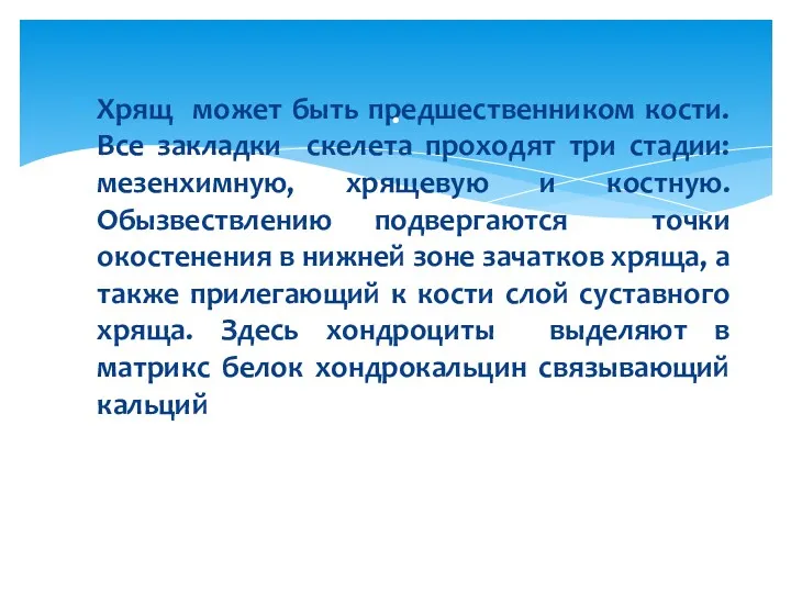 Хрящ может быть предшественником кости. Все закладки скелета проходят три