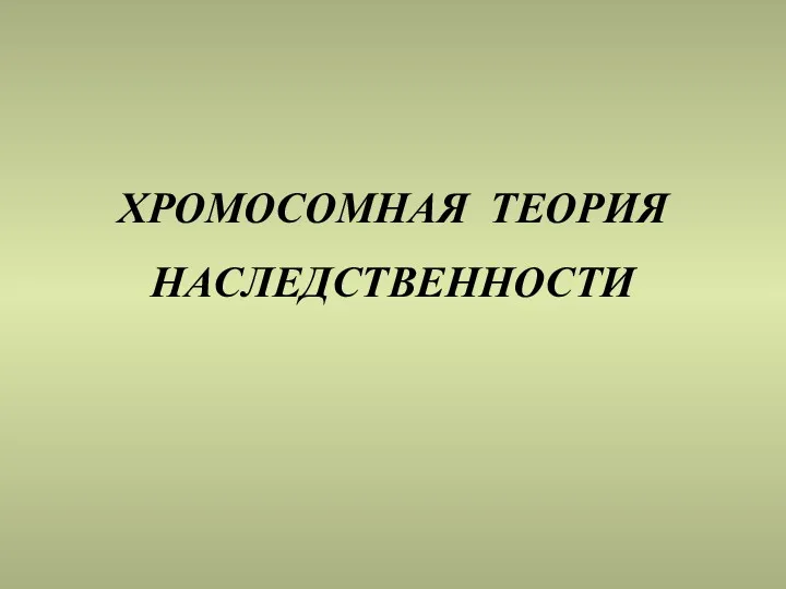 ХРОМОСОМНАЯ ТЕОРИЯ НАСЛЕДСТВЕННОСТИ