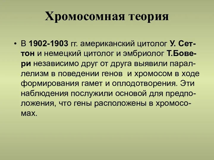 Хромосомная теория В 1902-1903 гг. американский цитолог У. Сет-тон и немецкий цитолог и