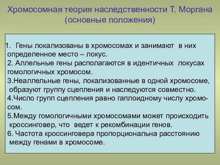 Хромосомная теория наследственности Т. Моргана (основные положения) Гены локализованы в