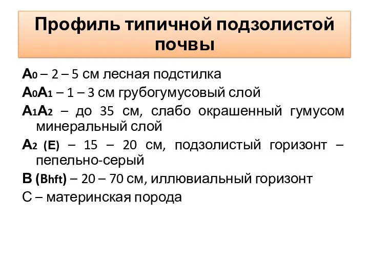 Профиль типичной подзолистой почвы А0 – 2 – 5 см