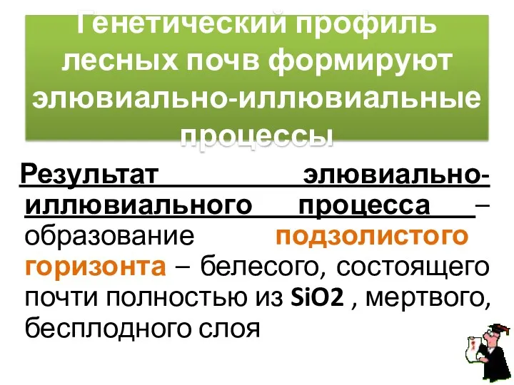 Генетический профиль лесных почв формируют элювиально-иллювиальные процессы Результат элювиально-иллювиального процесса