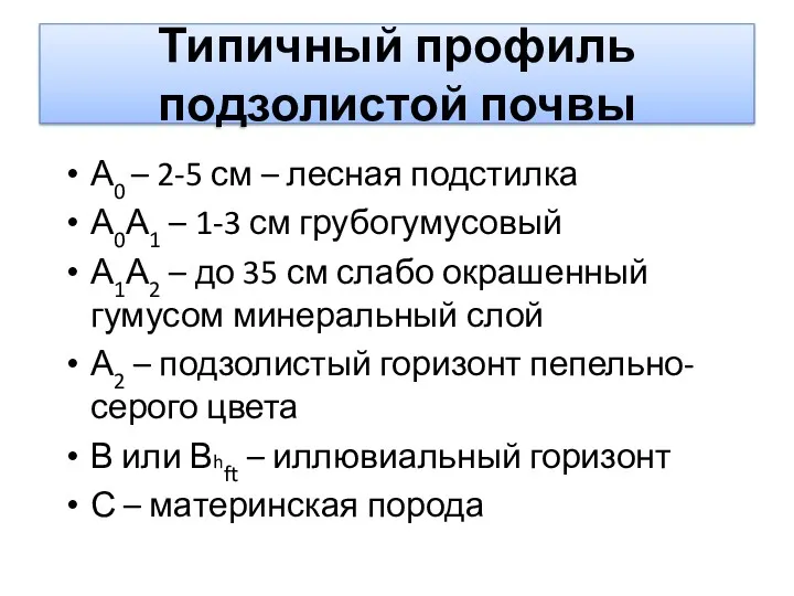 Типичный профиль подзолистой почвы А0 – 2-5 см – лесная