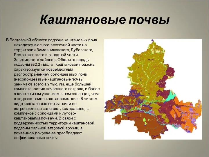 Каштановые почвы В Ростовской области подзона каштановых почв находится в