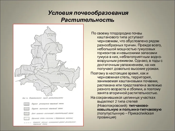 Условия почвообразования Растительность По своему плодородию почвы каштанового типа уступают