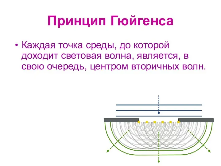 Принцип Гюйгенса Каждая точка среды, до которой доходит световая волна,