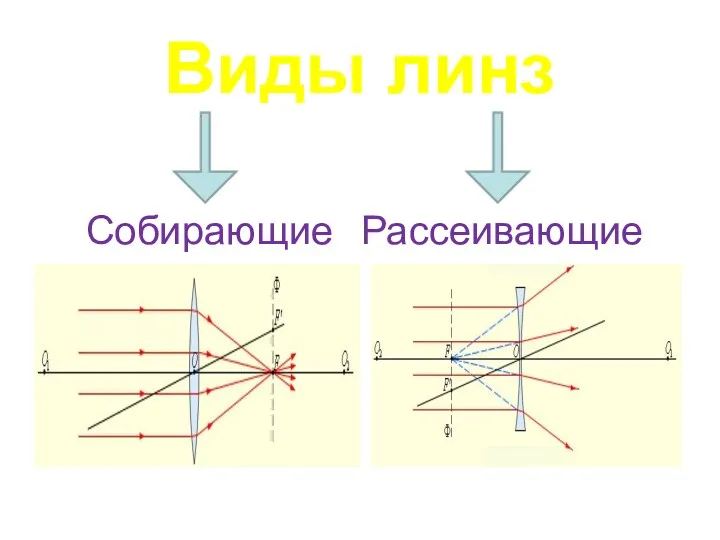 Виды линз Собирающие Рассеивающие