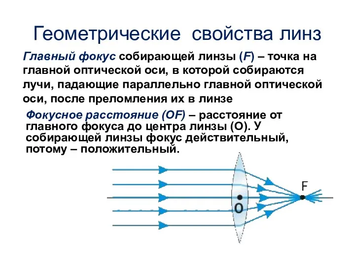 Геометрические свойства линз Главный фокус собирающей линзы (F) – точка