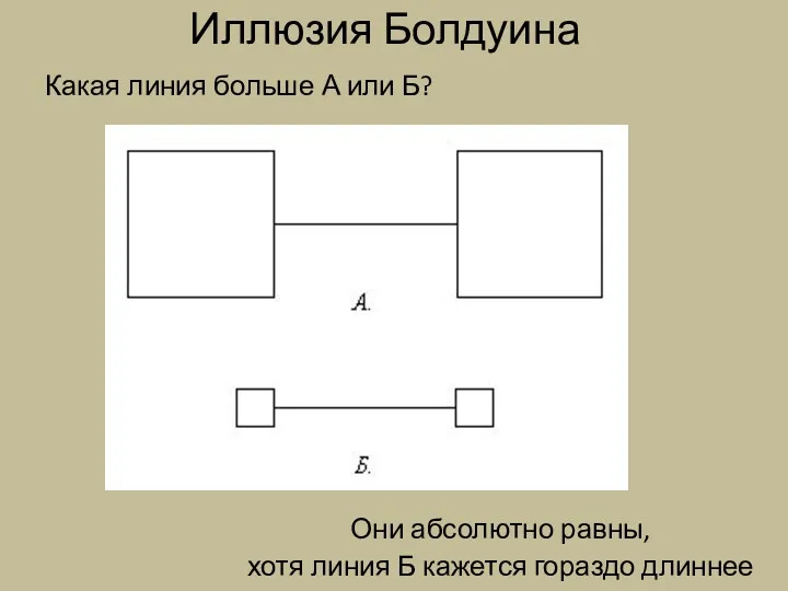 Иллюзия Болдуина Какая линия больше А или Б? Они абсолютно