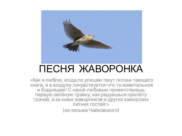 ПЕСНЯ ЖАВОРОНКА «Как я люблю, когда по улицам текут потоки