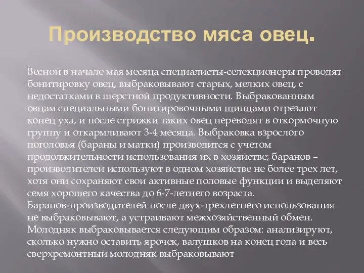 Производство мяса овец. Весной в начале мая месяца специалисты-селекционеры проводят