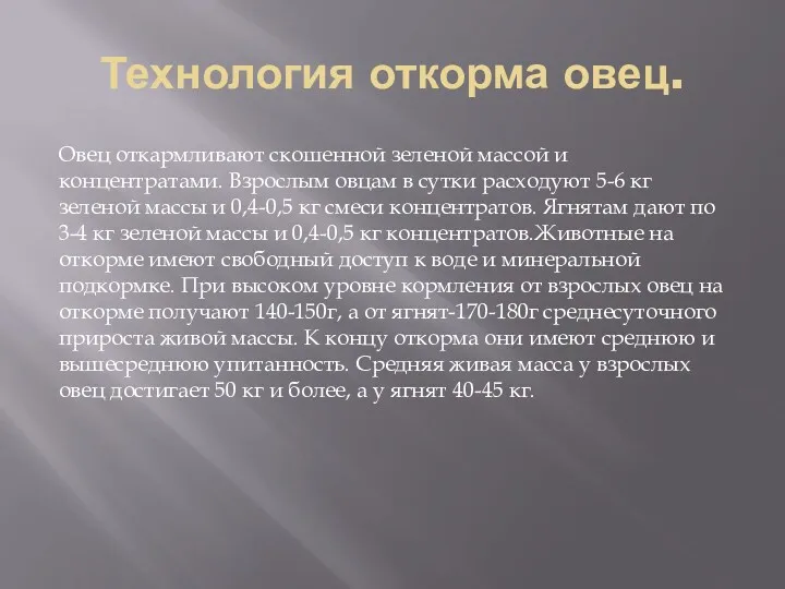 Технология откорма овец. Овец откармливают скошенной зеленой массой и концентратами.