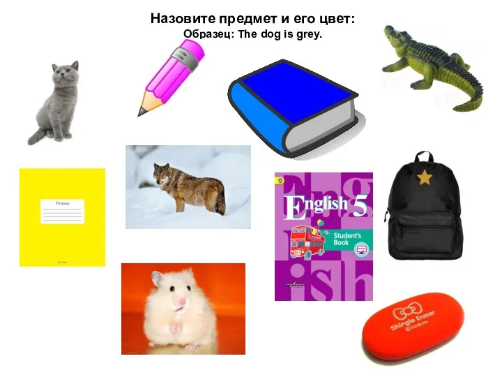 Назовите предмет и его цвет: Образец: The dog is grey.