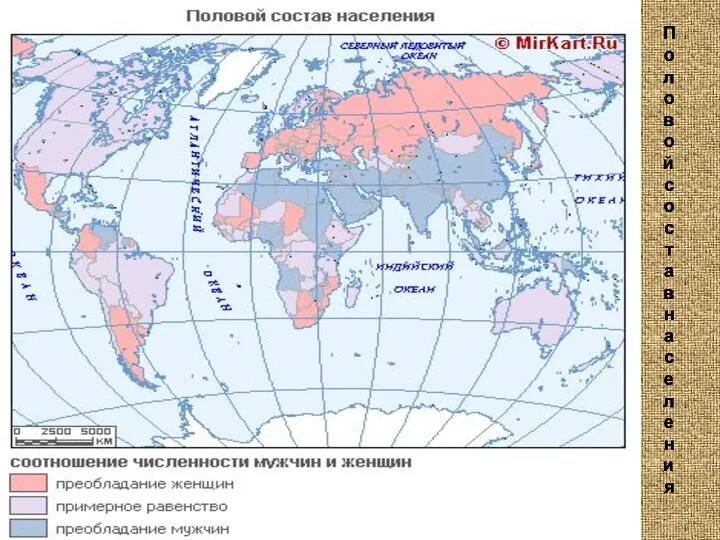 Половой состав населения