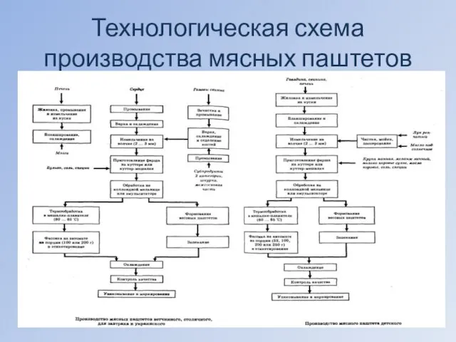 Технологическая схема производства мясных паштетов