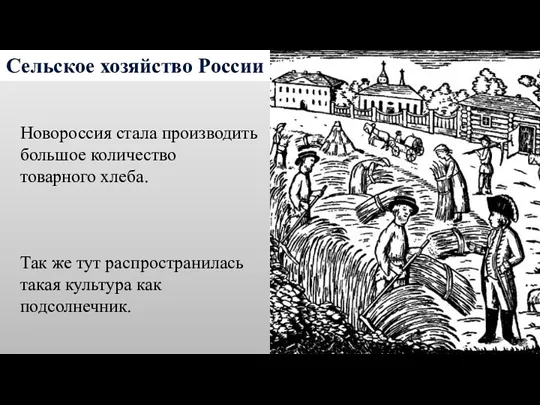 Сельское хозяйство России Новороссия стала производить большое количество товарного хлеба.