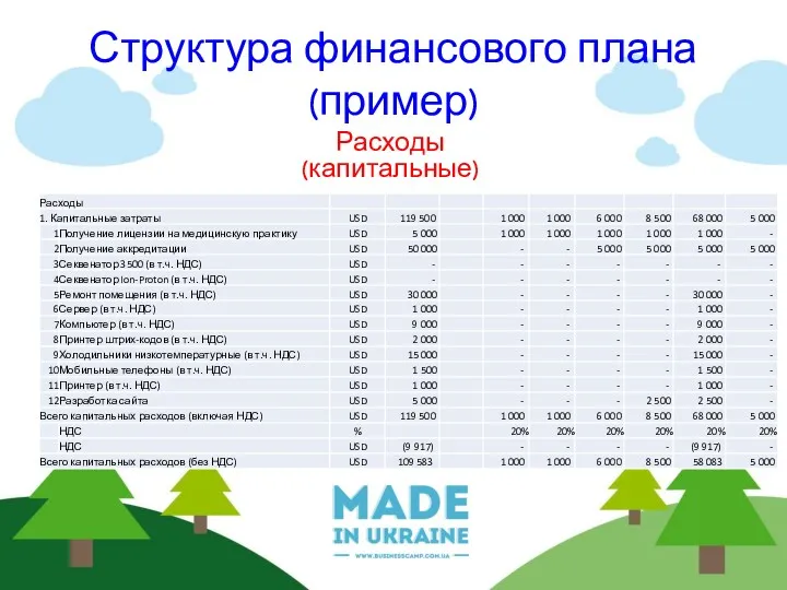 Структура финансового плана (пример) Расходы (капитальные)