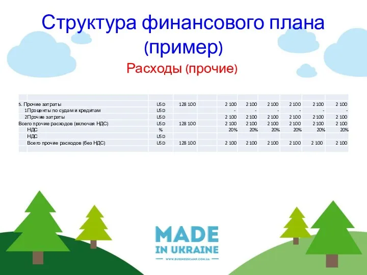 Структура финансового плана (пример) Расходы (прочие)