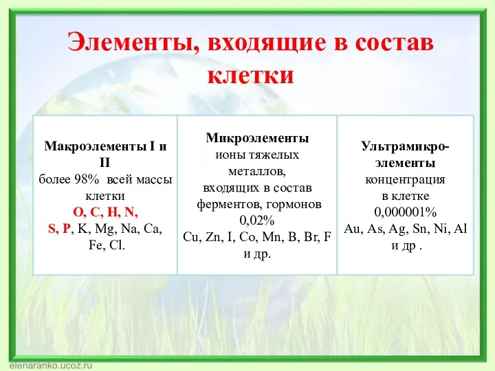 Элементы, входящие в состав клетки Макроэлементы I и II более