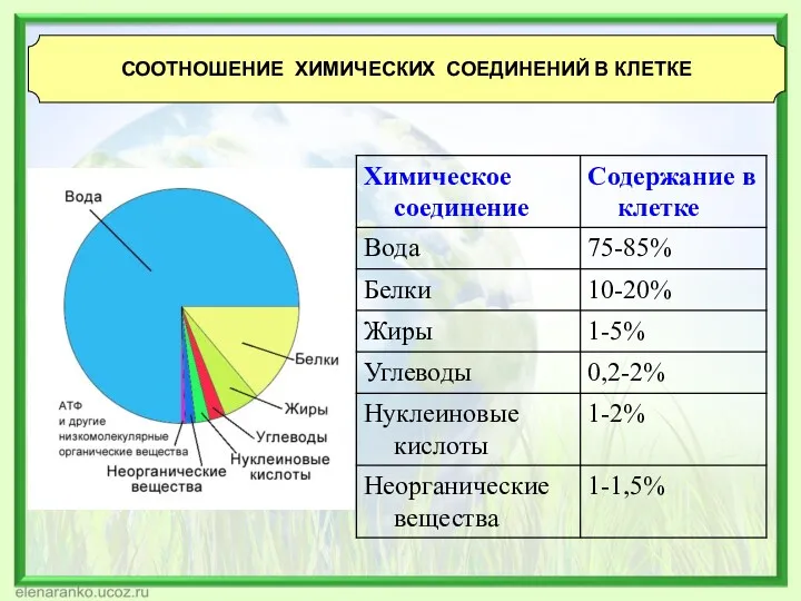 СООТНОШЕНИЕ ХИМИЧЕСКИХ СОЕДИНЕНИЙ В КЛЕТКЕ