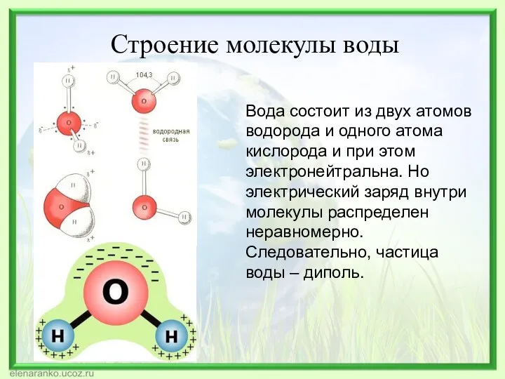 Строение молекулы воды Вода состоит из двух атомов водорода и