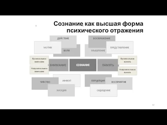 Сознание как высшая форма психического отражения