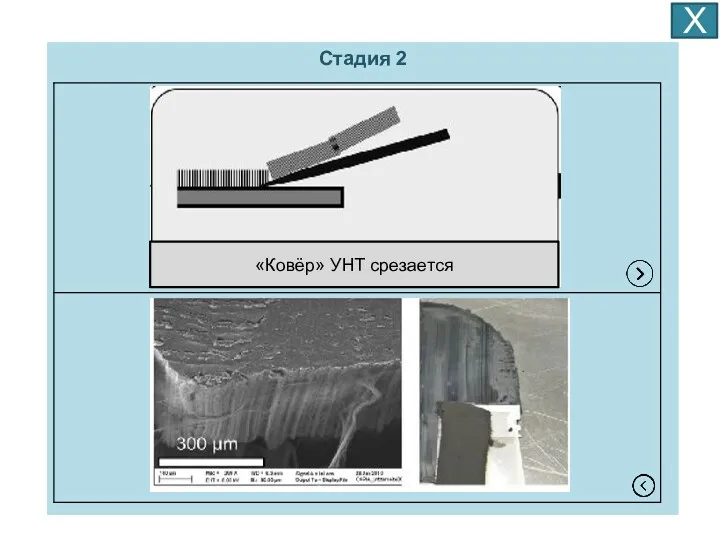 Х Стадия 2 «Ковёр» УНТ срезается