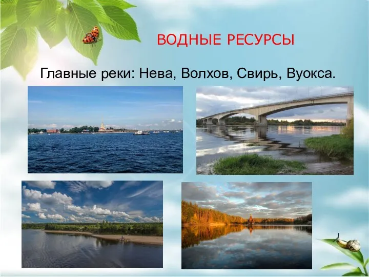 Главные реки: Нева, Волхов, Свирь, Вуокса. ВОДНЫЕ РЕСУРСЫ