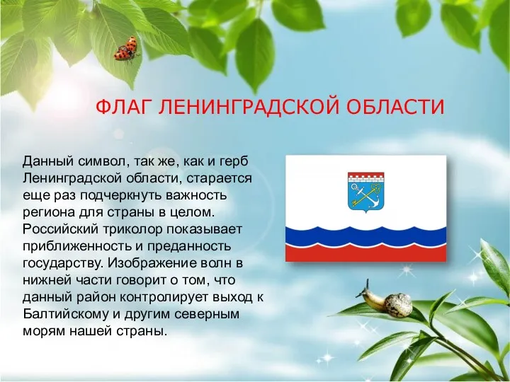 ФЛАГ ЛЕНИНГРАДСКОЙ ОБЛАСТИ Данный символ, так же, как и герб Ленинградской области, старается